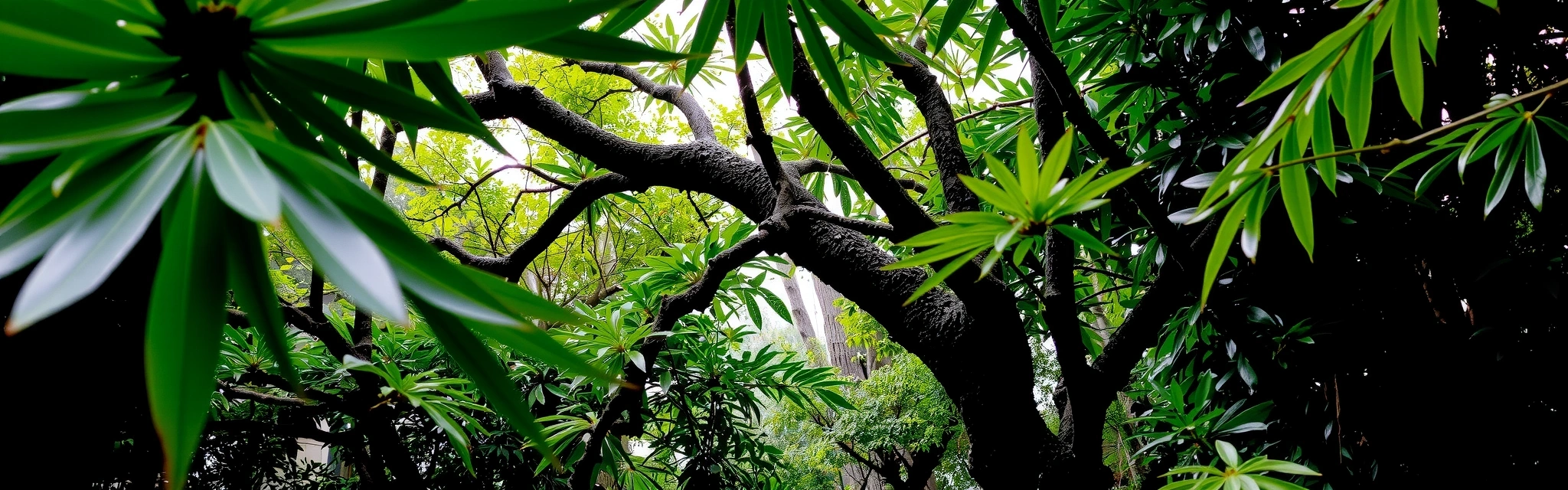 Entorno sereno Xyrvexo